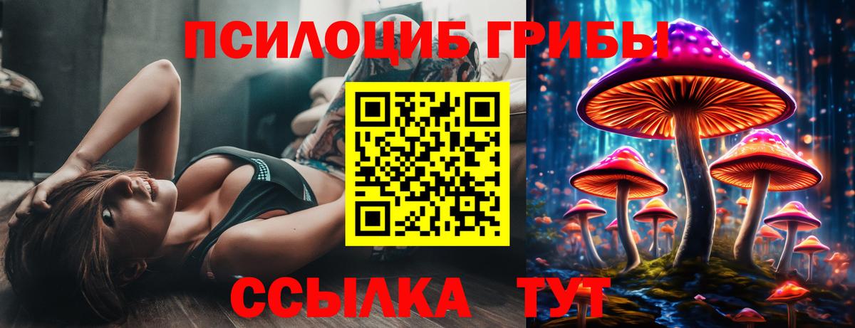 Псилоцибиновые грибы Psilocybe Качканар