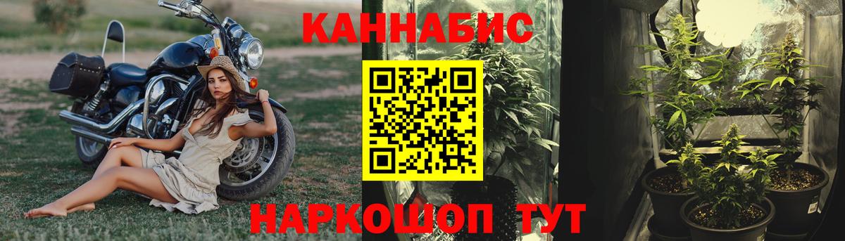 МАРИХУАНА OG Kush Качканар